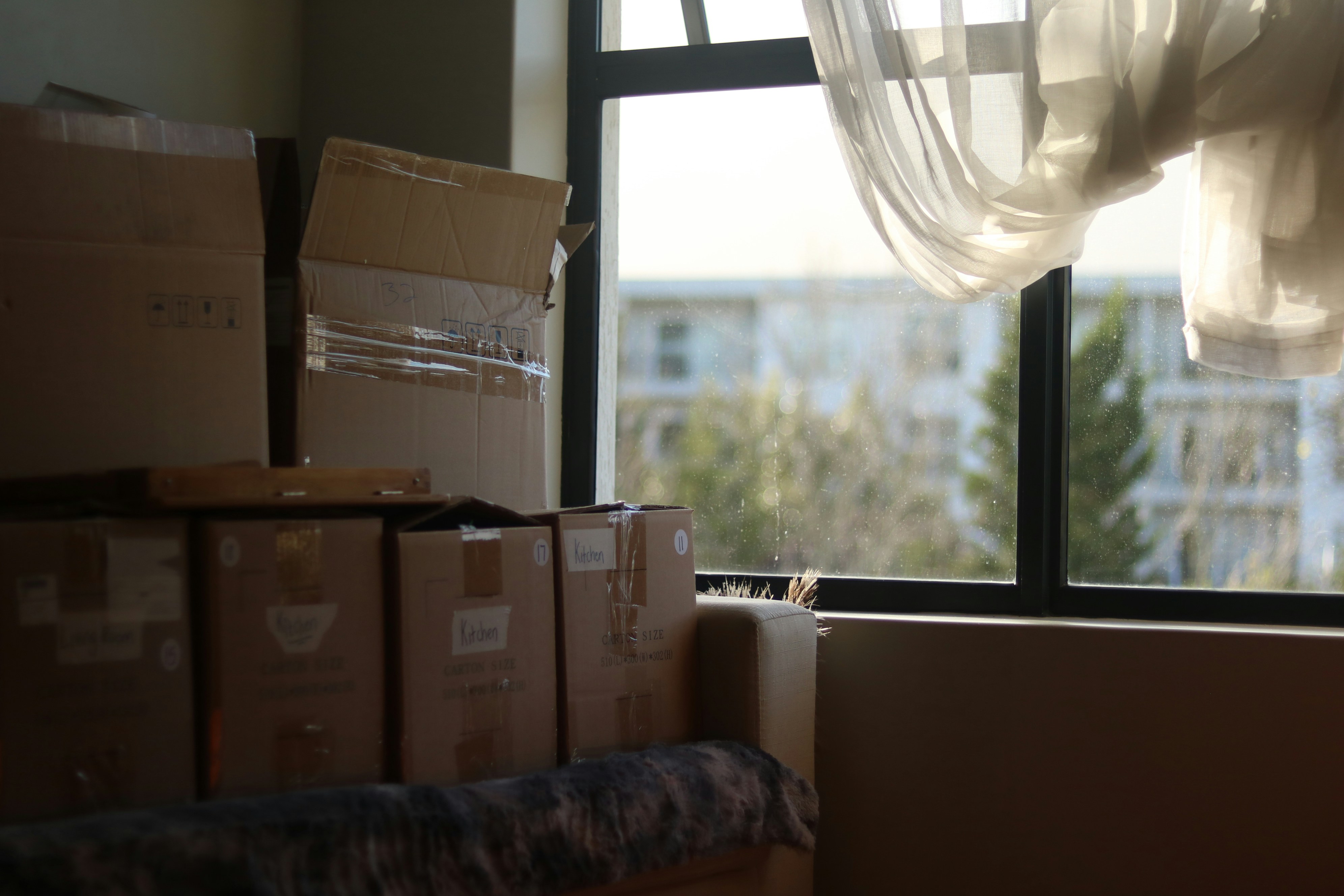 Moving In/Out Cleaning